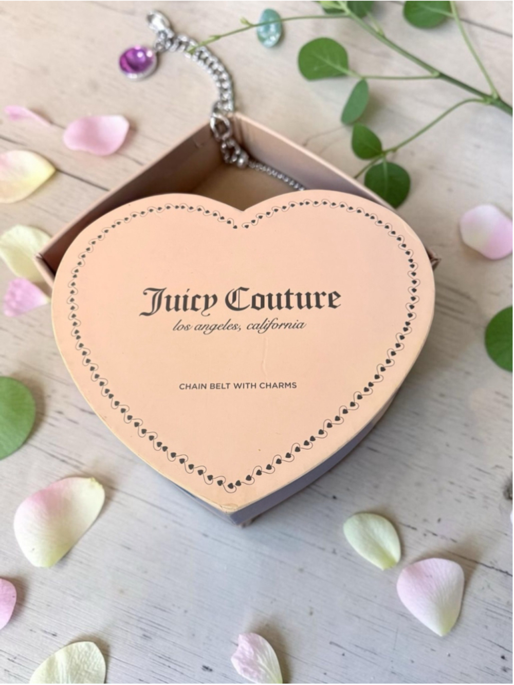 Juicy Couture Charm Chain Belt 💖 Y2K Gold Tone Heart Charm Belt w/ Box